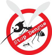 Rappel des bonnes pratiques pour lutter contre la dengue