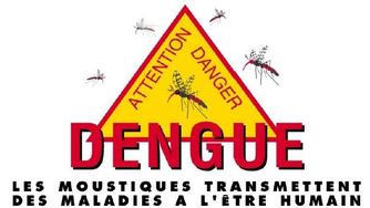 Vigilance - 1er cas de dengue autochtone de type 2 sur le Territoire